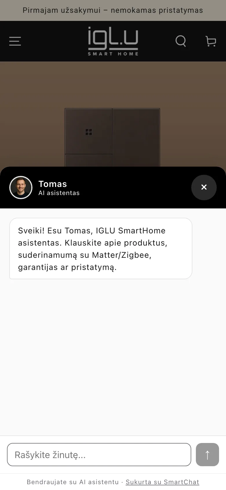 SmartChat svetainės sąsaja